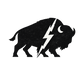 Buffalo Storm - Home